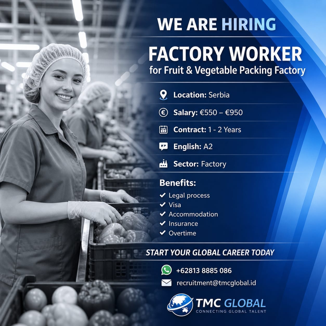 FACTORY WORKER for Fruit & Vegetable Packing Factory